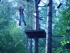 Go Ape at Moor Valley Country Park