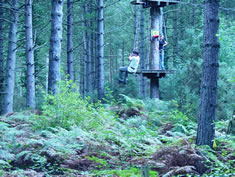 Go Ape at Moor Valley Country Park (4)